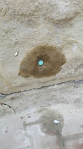 IMG-20160426-WA0006